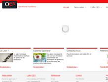 Tablet Screenshot of oex-online.com